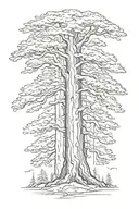 redwood tree tattoo design idea
