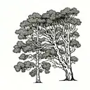 Single silver birch tree line drawing with no background tattoo design idea