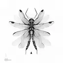 Dragonfly tattoo design idea