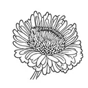 fine line carnation, chrysanthemum and daisy bouquet with stems  tattoo design idea