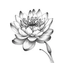 boquet of larkspur, water lily, chrysanthemum, daisy and poppy tattoo design idea