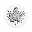 Maple Leaf tattoo design idea