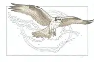Frame by frame of osprey diving into water for hunt inspired tattoo tattoo design idea