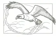 Frame by frame of osprey diving into water for hunt inspired tattoo tattoo design idea