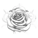 seagull an roses tattoo design idea