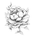 Peony tattoo design idea