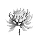 springbok mountains protea sweet pea tattoo design idea