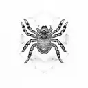 Spider with a 42 tattoo design idea