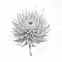 Chrysanthemum and olive leaf symbolizing joy and strength  tattoo design idea