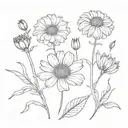 calendula botanic drawing style tattoo design idea
