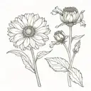calendula botanic drawing style tattoo design idea