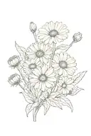 Calendula botanic drawing style illustration tattoo design idea