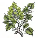 quaking aspen  tree tattoo design idea