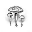 Amanita mushroom with frog and fern patterns surrounding it tattoo design idea