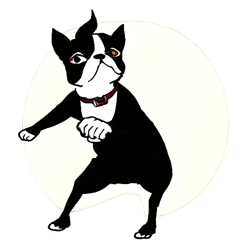 Boston terrier  tattoo design idea