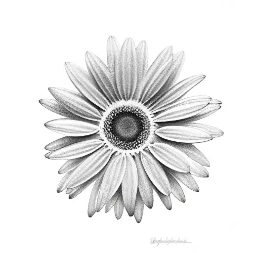 gerber daisy with a "Z" in the center tattoo design idea