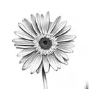 a daisy and a gerber daisy with a z  tattoo design idea