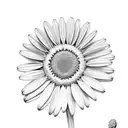 a daisy and a gerber daisy with a z  tattoo design idea