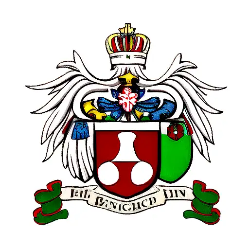 polish and irish coat of arms tattoo design idea