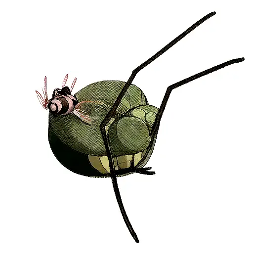 mantis riding a snail, movement effect tattoo design idea