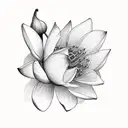 Cherry Blossom, flor de lotus, rosa, renda, brilho tattoo design idea