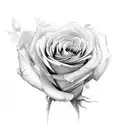 2 roses wrapped around eachother tattoo design idea