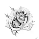 2 roses wrapped around eachother tattoo design idea