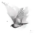 a flying kea tattoo design idea