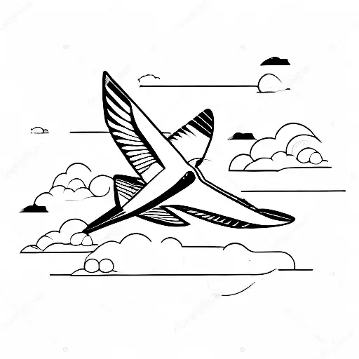 aeroplane and a swallow  tattoo design idea