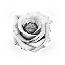 A realistic rose with a surreal twist, incorporating bright and bold colors that seem to glow tattoo design idea