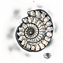 Ammonite Fossil  tattoo design idea