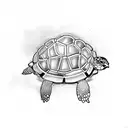 bird cage turtle  tattoo design idea