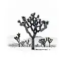 joshua tree tattoo design idea