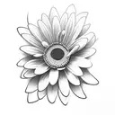 Realistic, black and grey tattoo, 2 daisy’s in the centre, water lily in background, 2 violets on each side, 1 morning g tattoo design idea