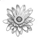 Realistic, black and grey tattoo, 2 daisy’s in the centre, water lily in background, 2 violets on each side, 1 morning g tattoo design idea
