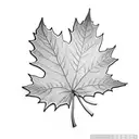 Maple Leaf tattoo design idea