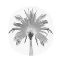 Palm Tree tattoo design idea