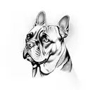 cane corso tattoo design idea