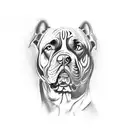 cane corso tattoo design idea