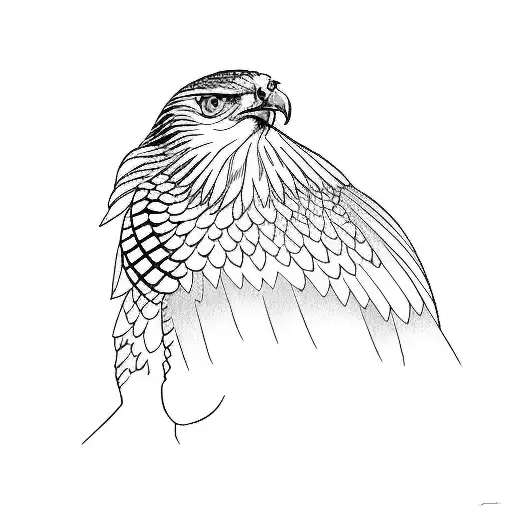 a red-tailed hawk tattoo design idea