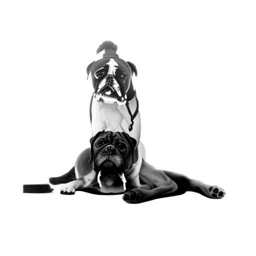 a boxer laying on the ground tattoo design idea