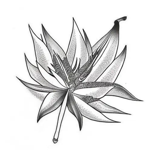 Bird of Paradise tattoo design idea