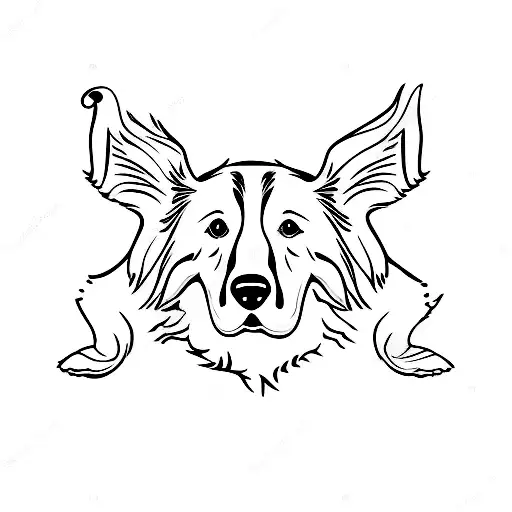 border collie  tattoo design idea