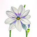 cosmo, snowdrop, daisy,morning glory tattoo design idea