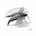 firefly  tattoo design idea