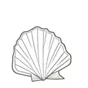 scallop shell tattoo design idea