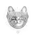 cat paw and man hand  tattoo design idea