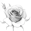 A dotwork tattoo of a rose with the words 'Valentin' incorporated into the petals tattoo design idea