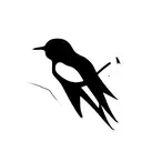 Swallow Bird tattoo design idea