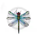 Dragonfly tattoo design idea